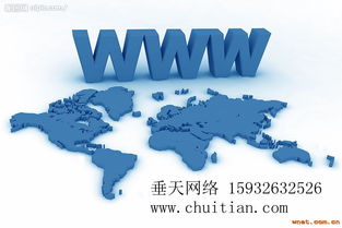 选择见效快的互联网信息服务 网站类型指南